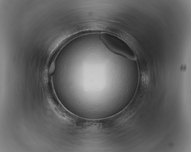 X0000111030676200906251305