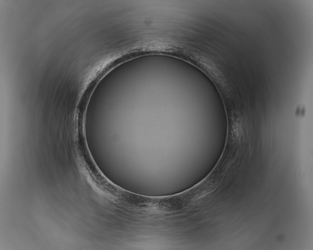 X0000111030678200906251305