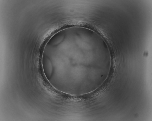 X0000111030679200906251305