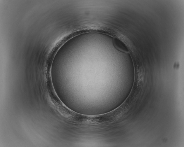X0000111030680200906251305