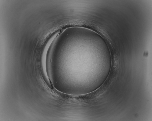 X0000111030681200906251305