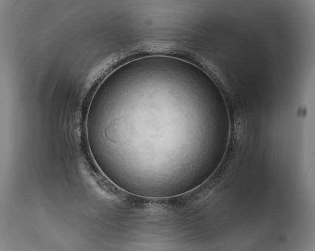X0000111030682200906251305