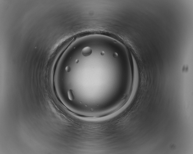 X0000111030684200906251305