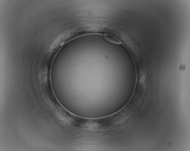 X0000111030685200906251305