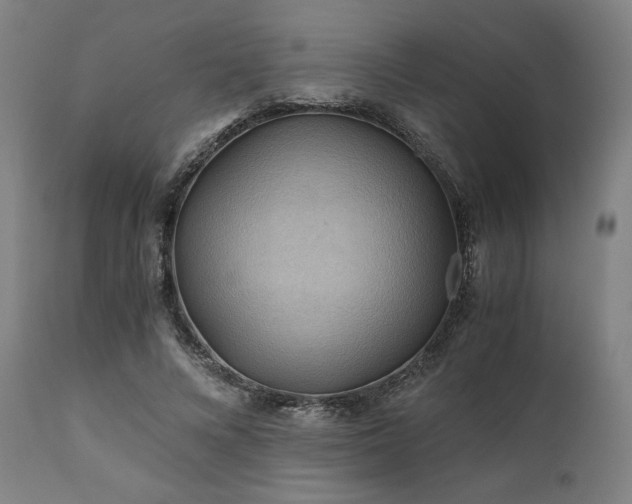 X0000111030688200906251305