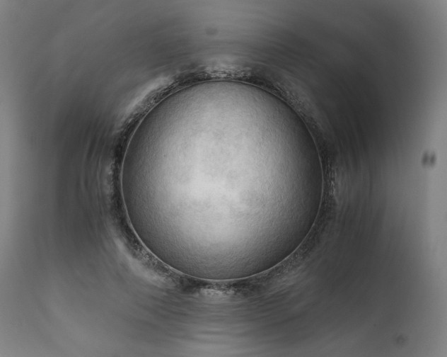 X0000111030690200906251305