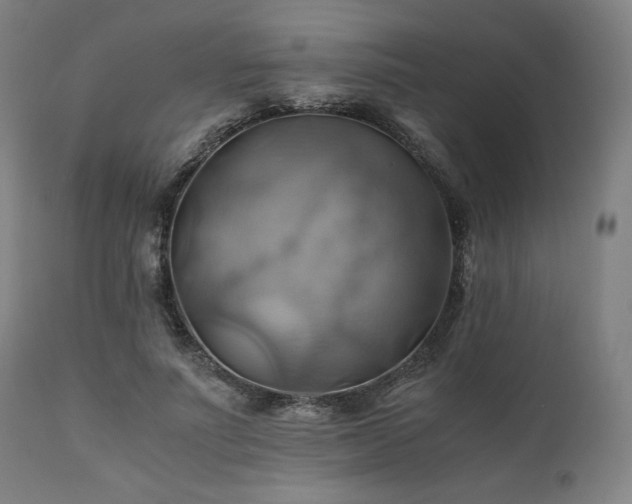 X0000111030691200906251305