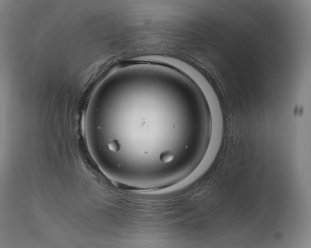 X0000111030693200906251305
