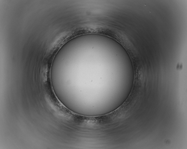 X0000111030694200906251305