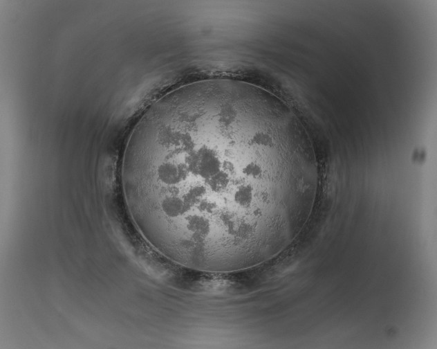 X0000111030695200906251305