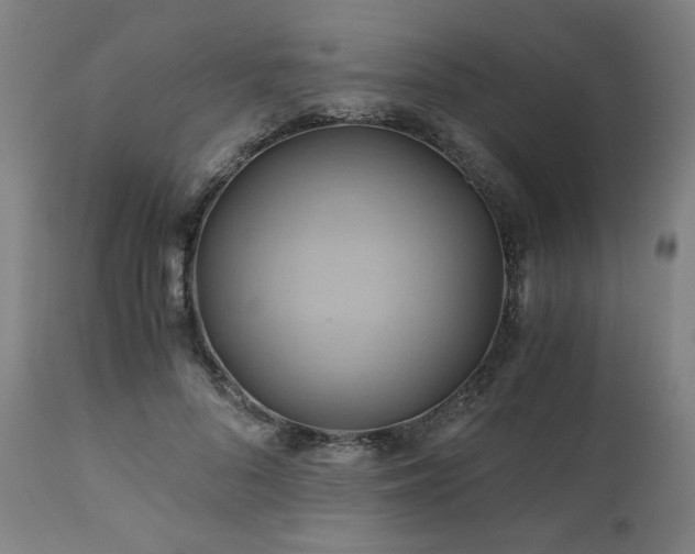 X0000111030696200906251305
