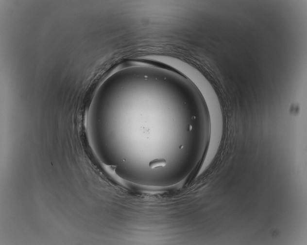 X0000111030697200906251305