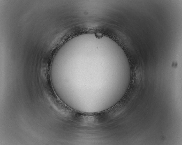 X0000111030698200906251305