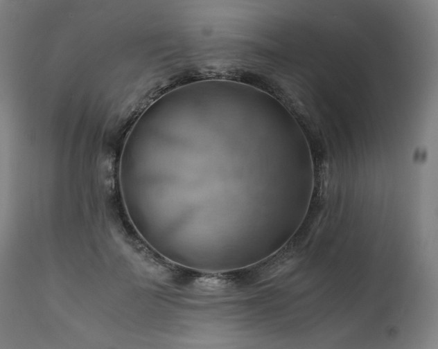 X0000111030699200906251305