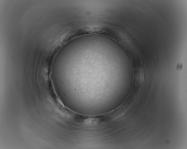X0000111030700200906251305