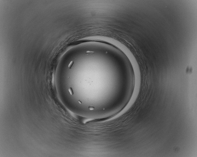 X0000111030701200906251305