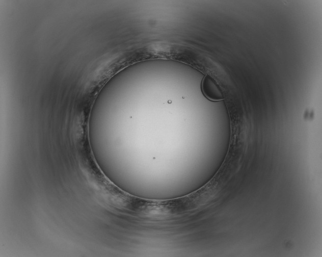 X0000111030702200906251305