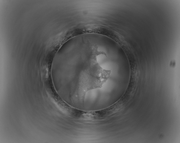 X0000111030703200906251305