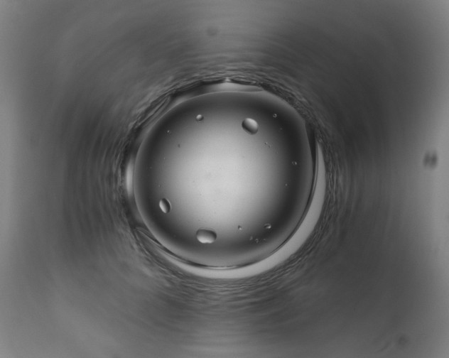 X0000111030704200906251305