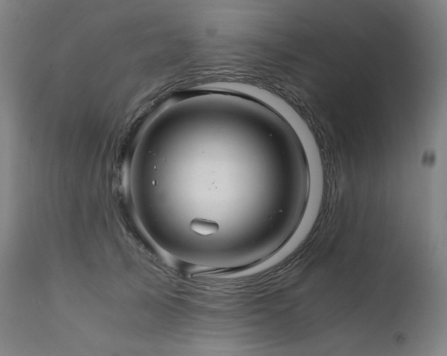 X0000111030705200906251305