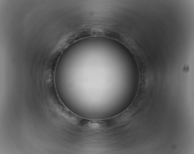 X0000111030706200906251305