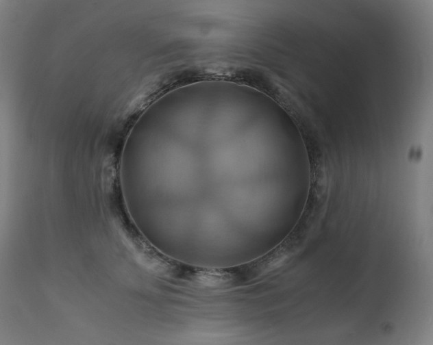 X0000111030707200906251305