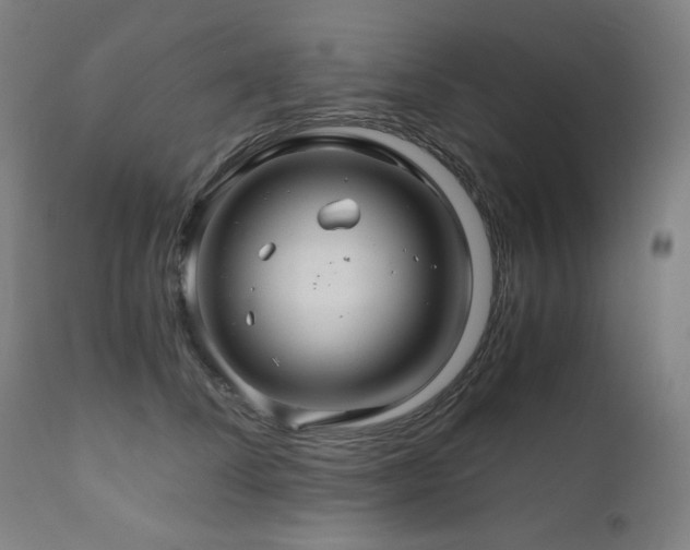 X0000111030708200906251305