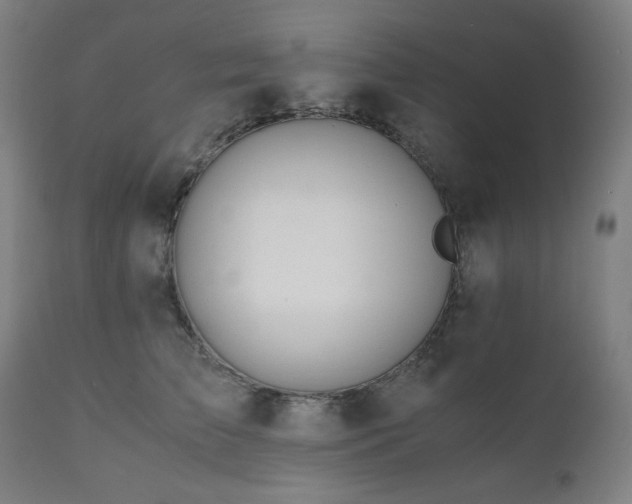 X0000111030709200906251305