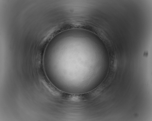 X0000111030710200906251305