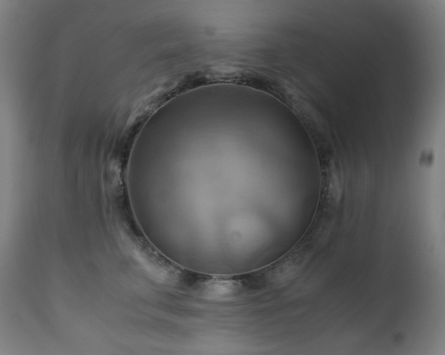 X0000111030711200906251305