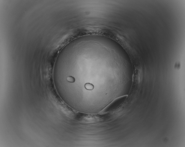 X0000111030712200906251305