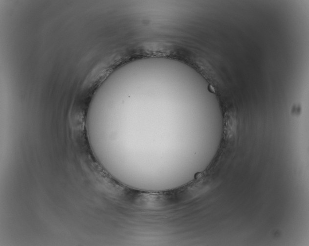 X0000111030713200906251305