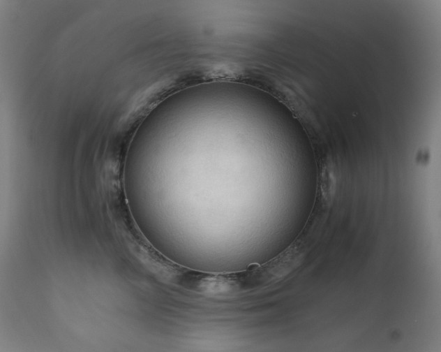 X0000111030714200906251305