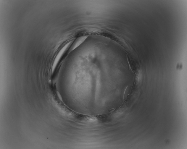 X0000111030715200906251305