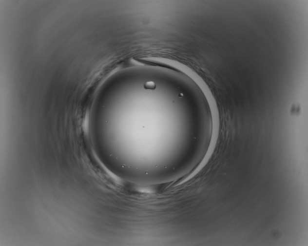 X0000111030716200906251305
