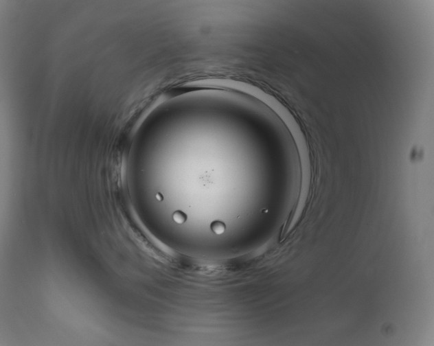 X0000111030720200906251304
