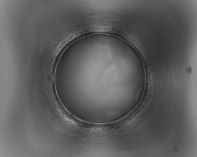 X0000111030721200906251304