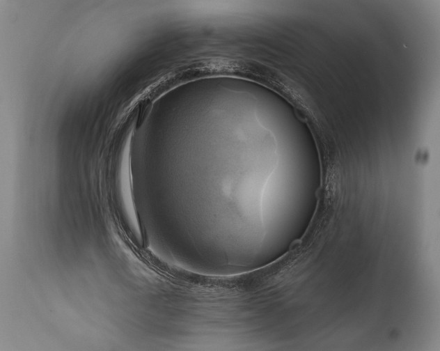 X0000111030722200906251304