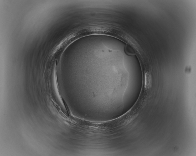 X0000111030723200906251304