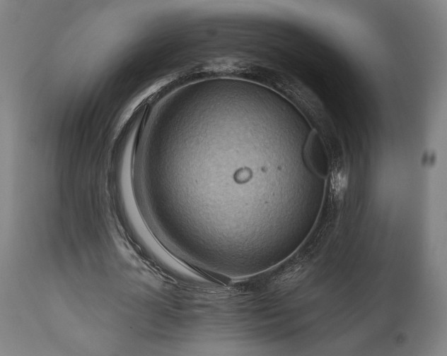 X0000111030724200906251304
