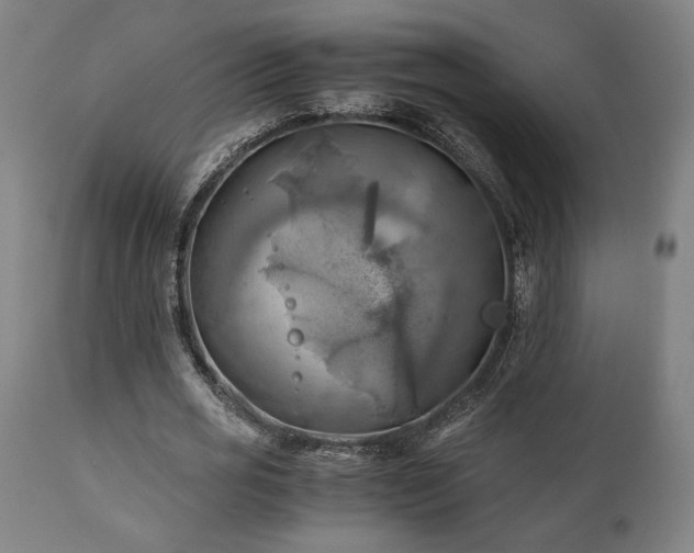 X0000111030725200906251304