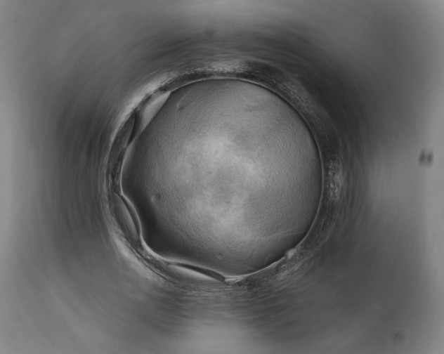 X0000111030726200906251304