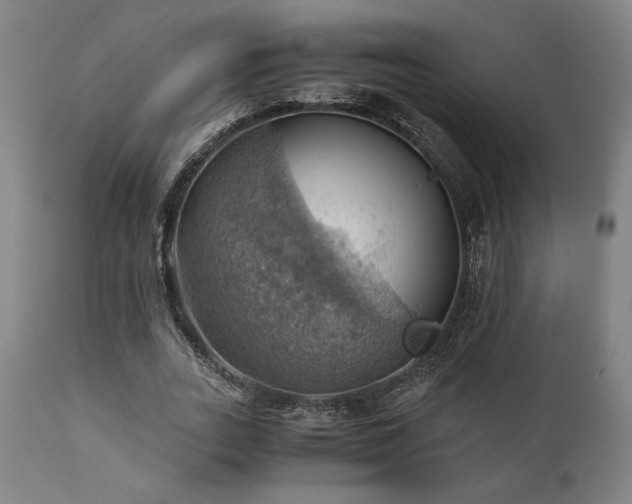 X0000111030727200906251304