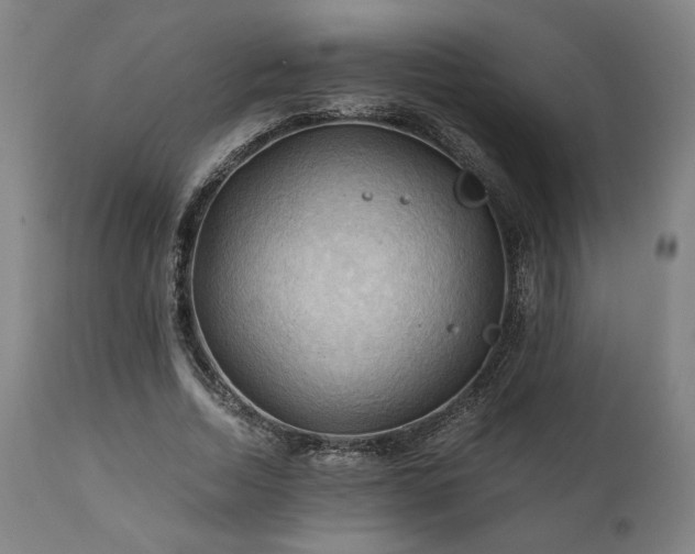 X0000111030730200906251304