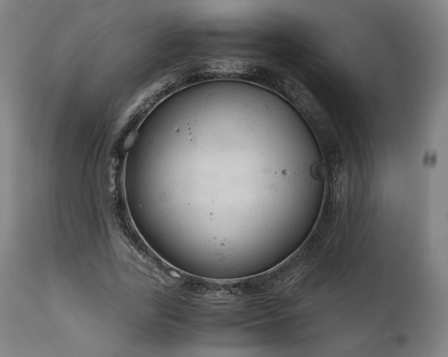 X0000111030731200906251304