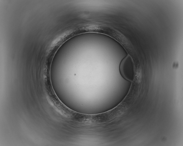 X0000111030732200906251304