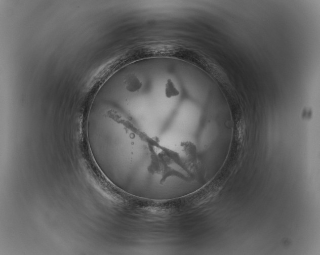 X0000111030733200906251304