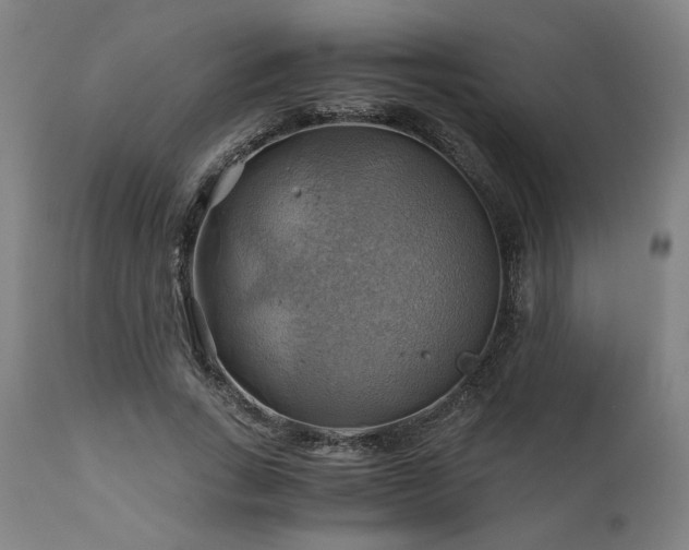 X0000111030735200906251304