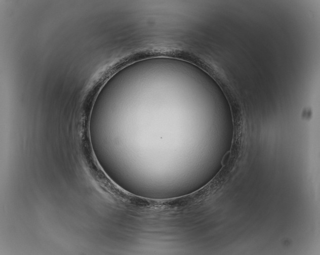 X0000111030736200906251304