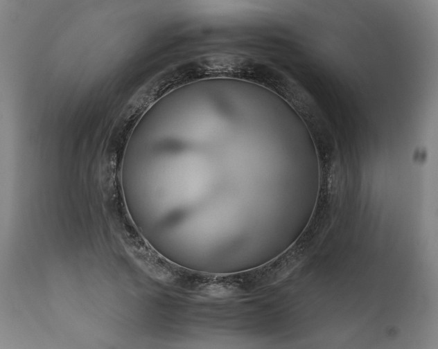 X0000111030737200906251304